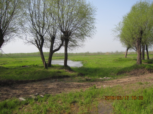IMG_8670.jpg