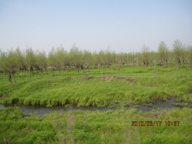 IMG_8694.jpg