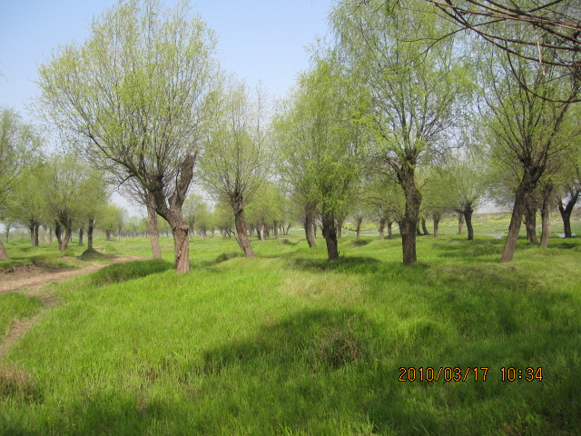 IMG_8682.jpg