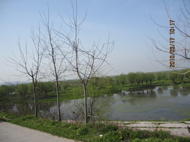 IMG_8566.jpg