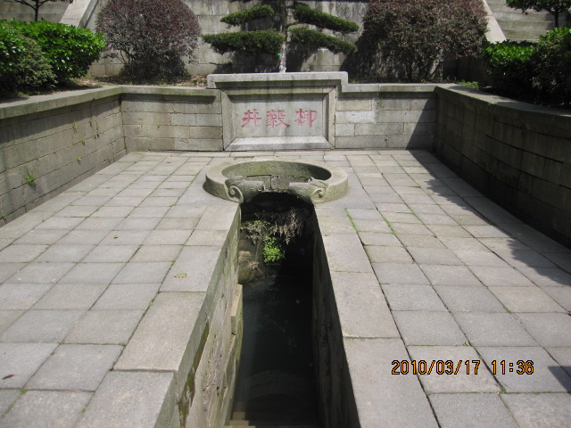 IMG_8877.jpg