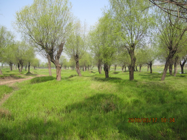 IMG_8680.jpg