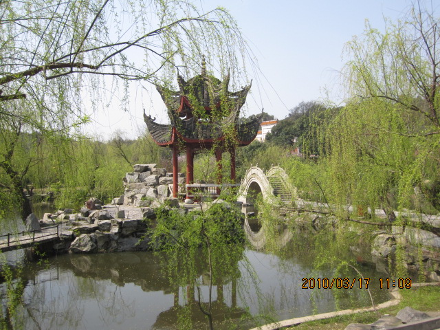 IMG_8817.jpg