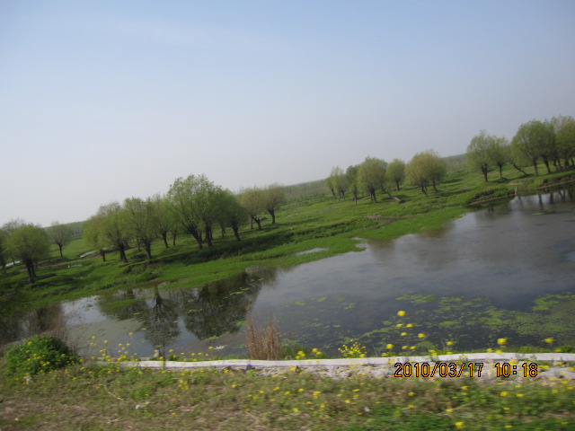 IMG_8569.jpg