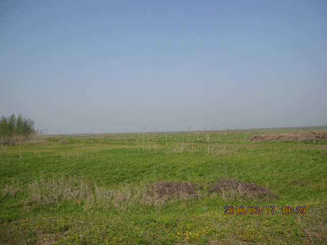 IMG_8711.jpg