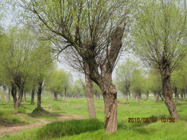 IMG_8684.jpg