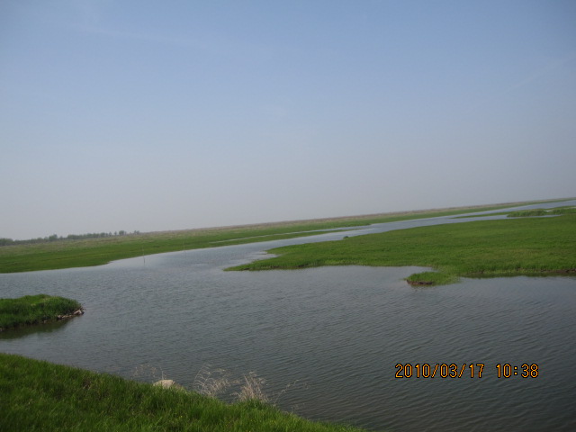 IMG_8704.jpg