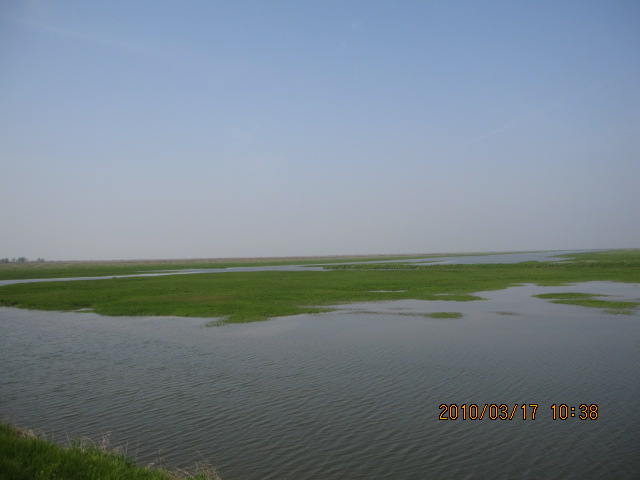 IMG_8702.jpg