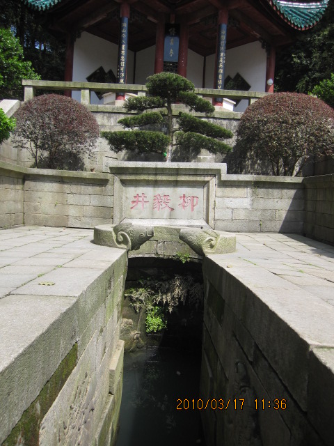 IMG_8878.jpg