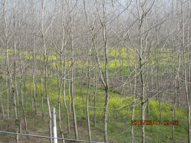 IMG_8543.jpg