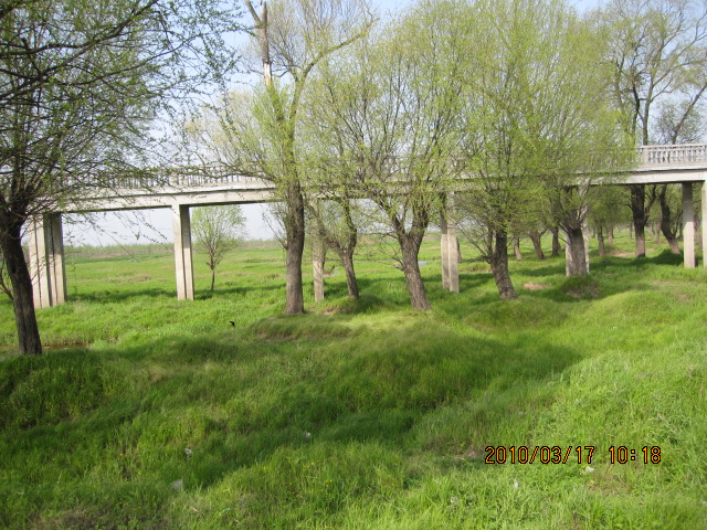 IMG_8571.jpg
