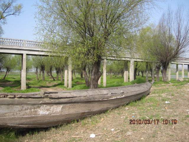 IMG_8573.jpg