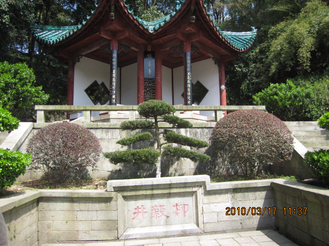 IMG_8885.jpg