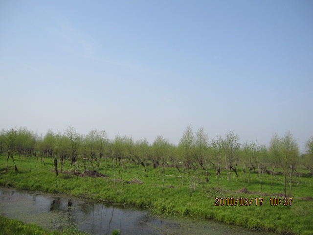 IMG_8693.jpg