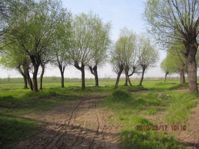 IMG_8575.jpg