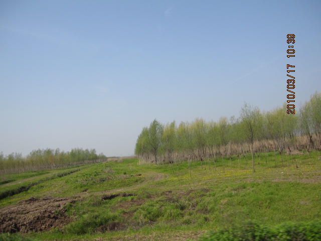 IMG_8712.jpg