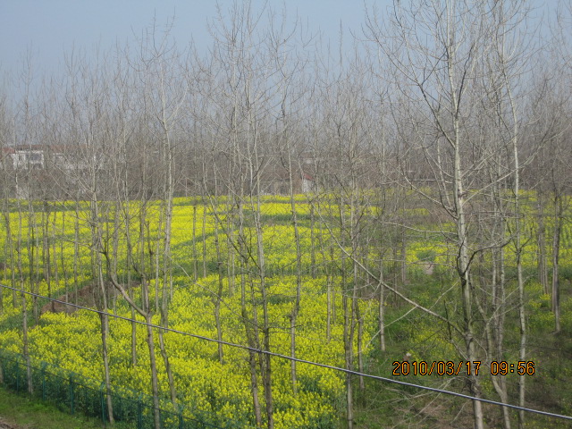 IMG_8544.jpg