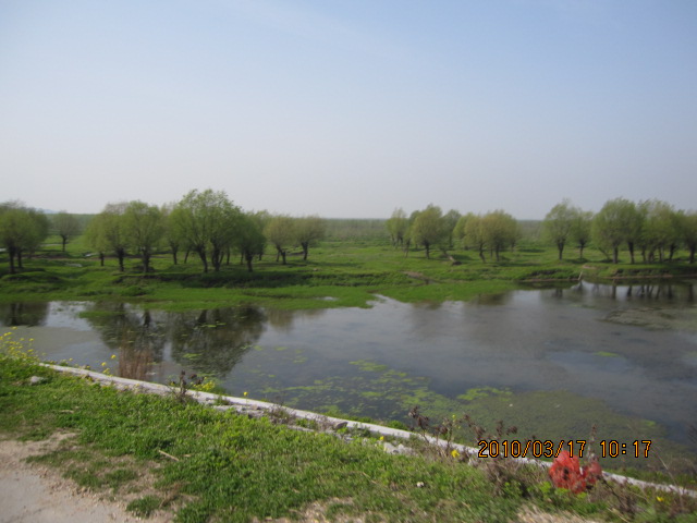IMG_8568.jpg