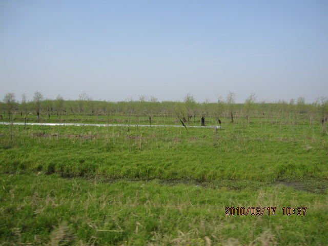 IMG_8689.jpg