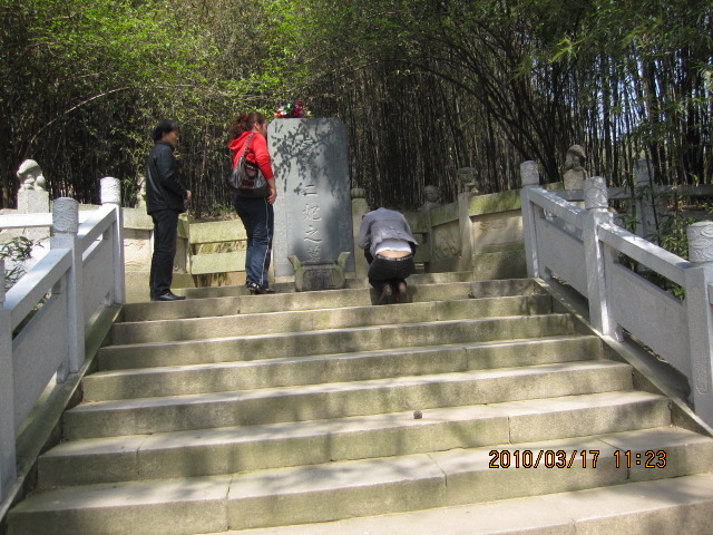 IMG_8854.jpg