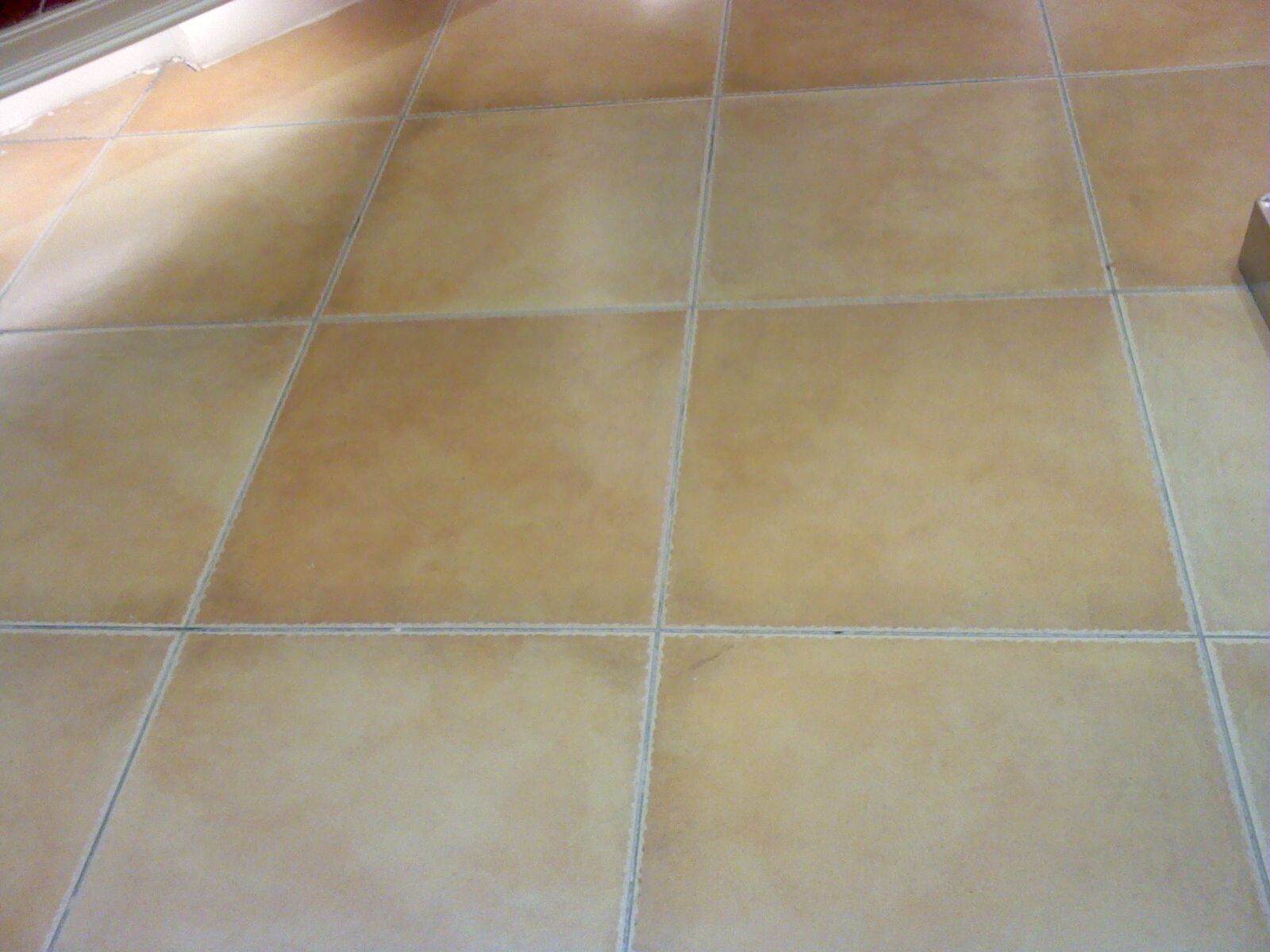 Ƭ0404.jpg
