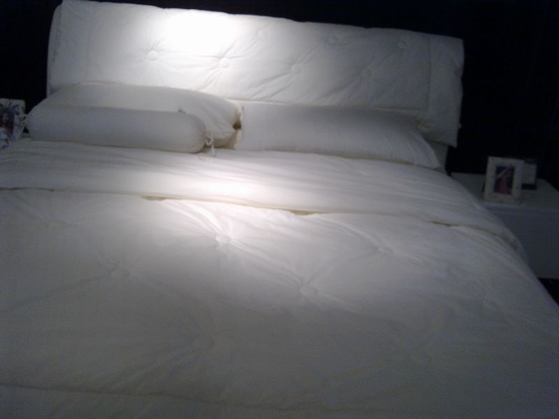 20100411031.jpg