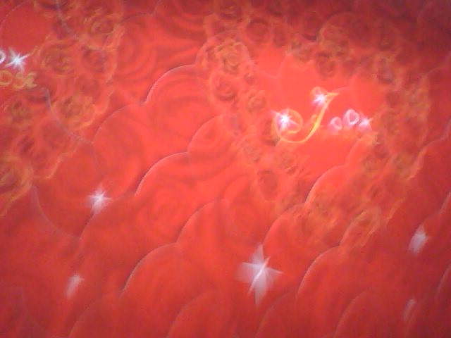 20100420_154337.jpg