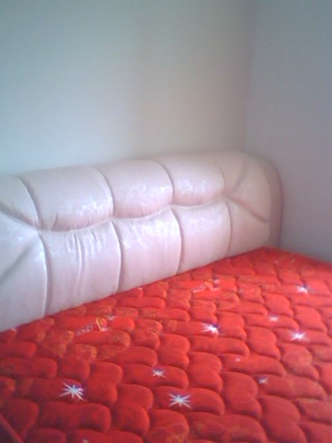 20100420_154446.jpg