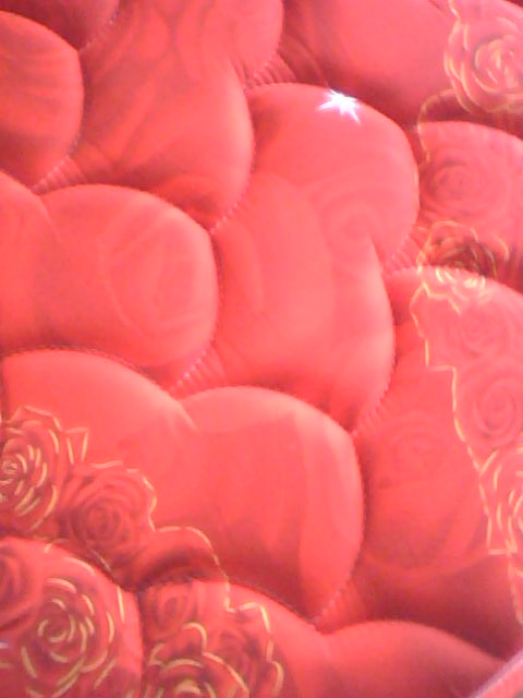 20100420_154432.jpg