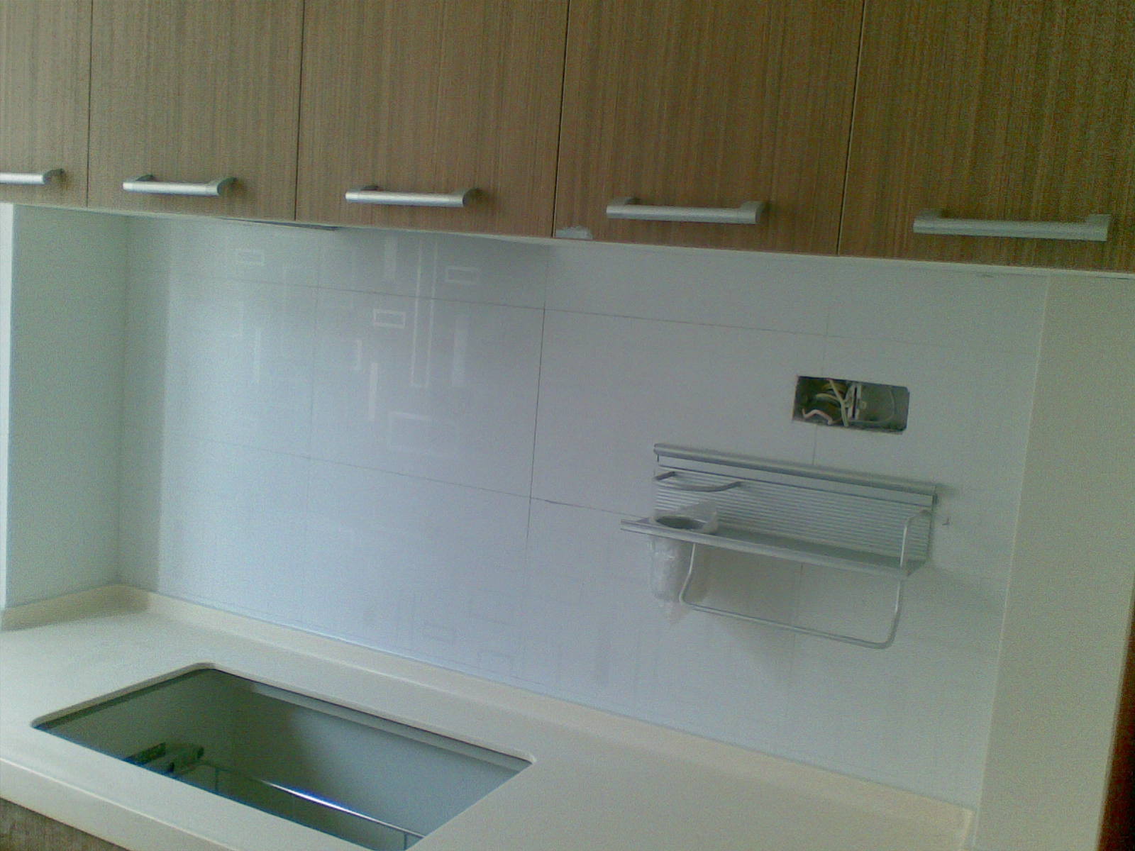 20100318(137).jpg