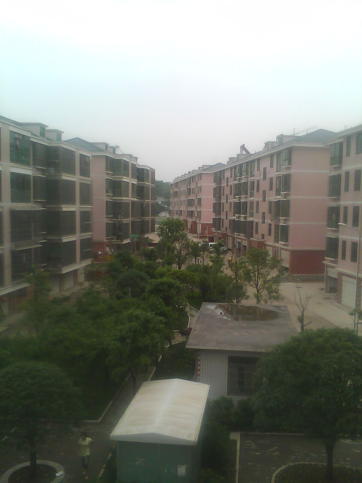 IMAGE_275.jpg