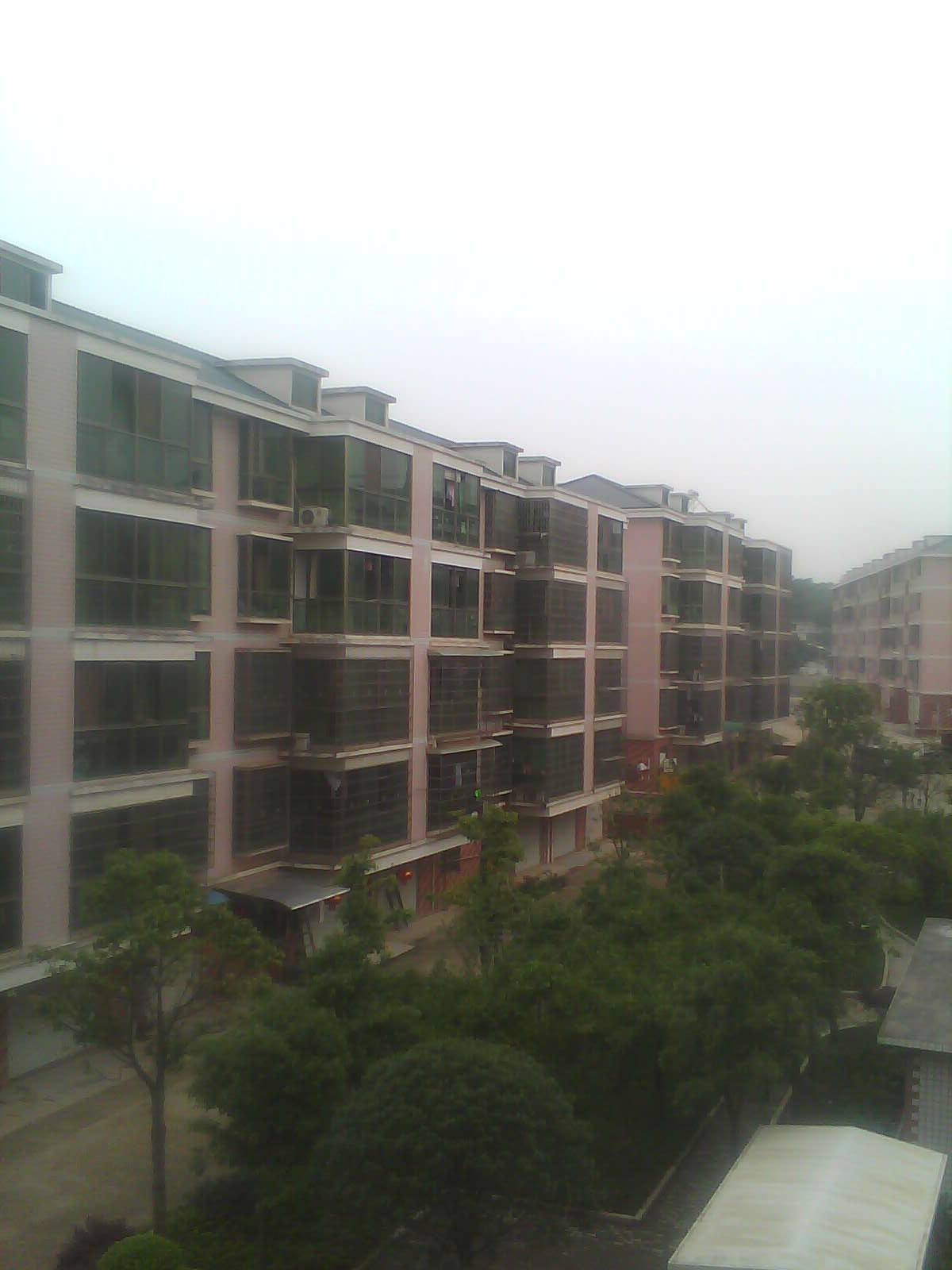IMAGE_277.jpg