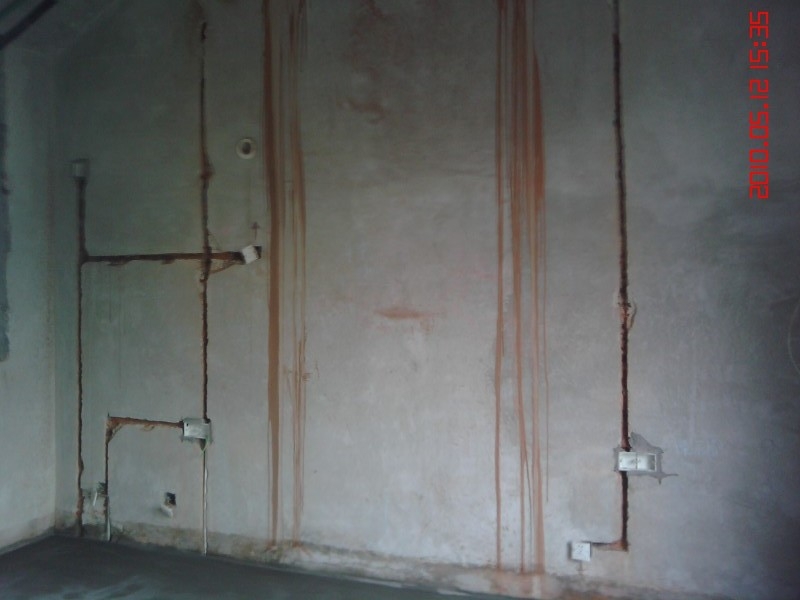 image20100512_153553.jpg