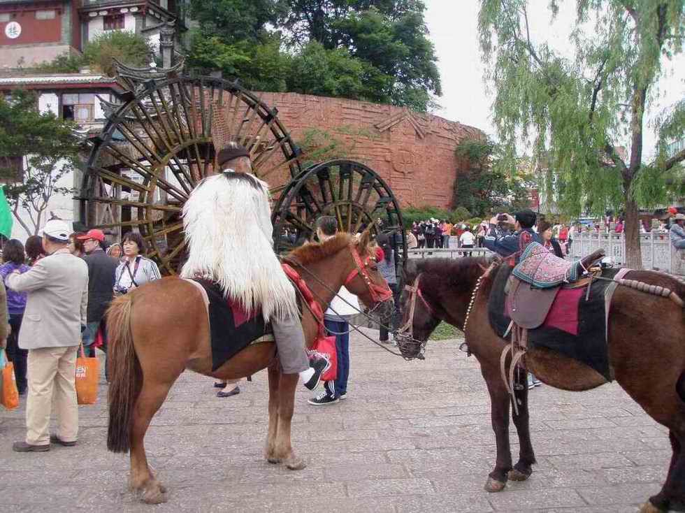 P5120184ޣ.jpg