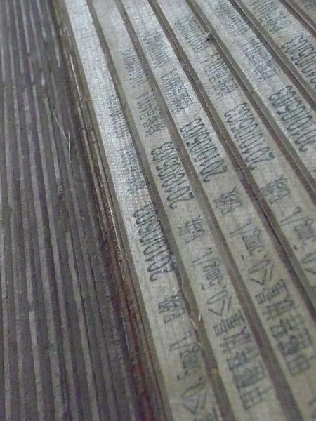 P1050227_СС.JPG