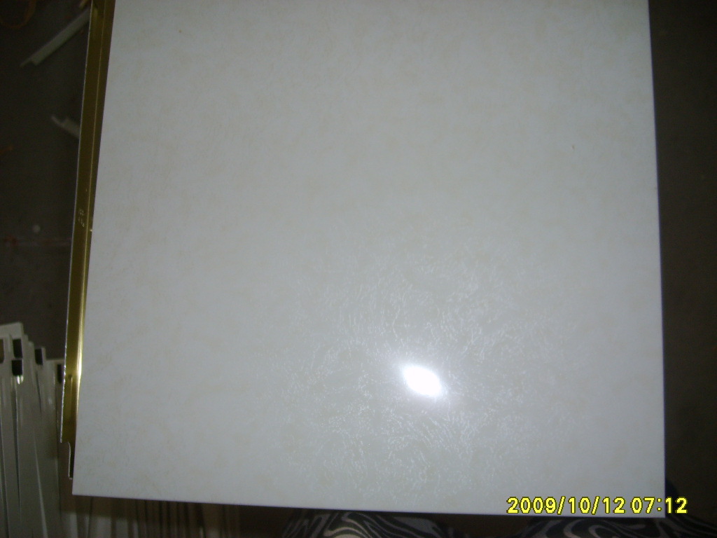 S6003896.JPG