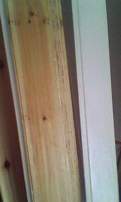 IMG0317A.jpg