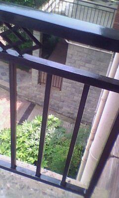 IMG0314A.jpg