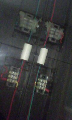 IMG0338A.jpg
