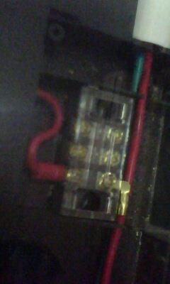 IMG0339A.jpg