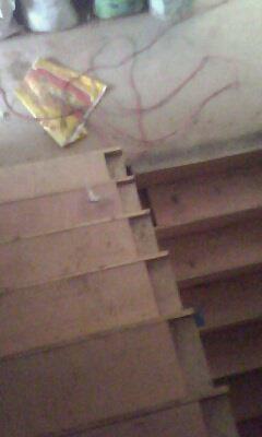 IMG0374A.jpg