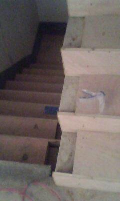 IMG0375A.jpg
