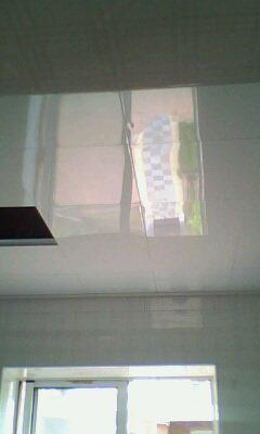 IMG0386A.jpg