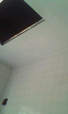 IMG0387A.jpg