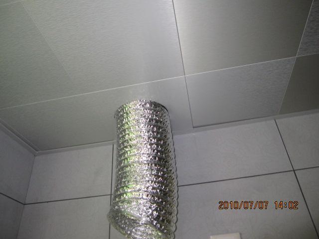 IMG_2943.jpg