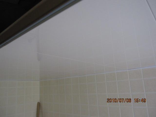 IMG_2891.jpg