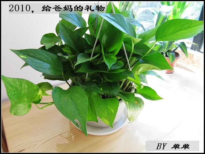 nEO_IMG_IMG_0317.jpg