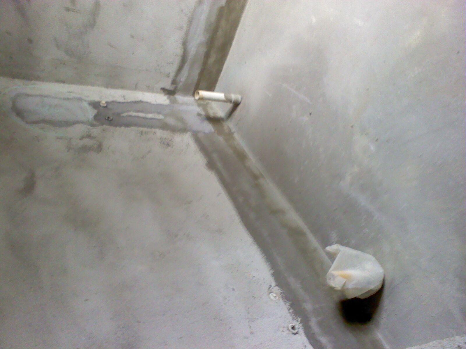 Ƭ0271.jpg