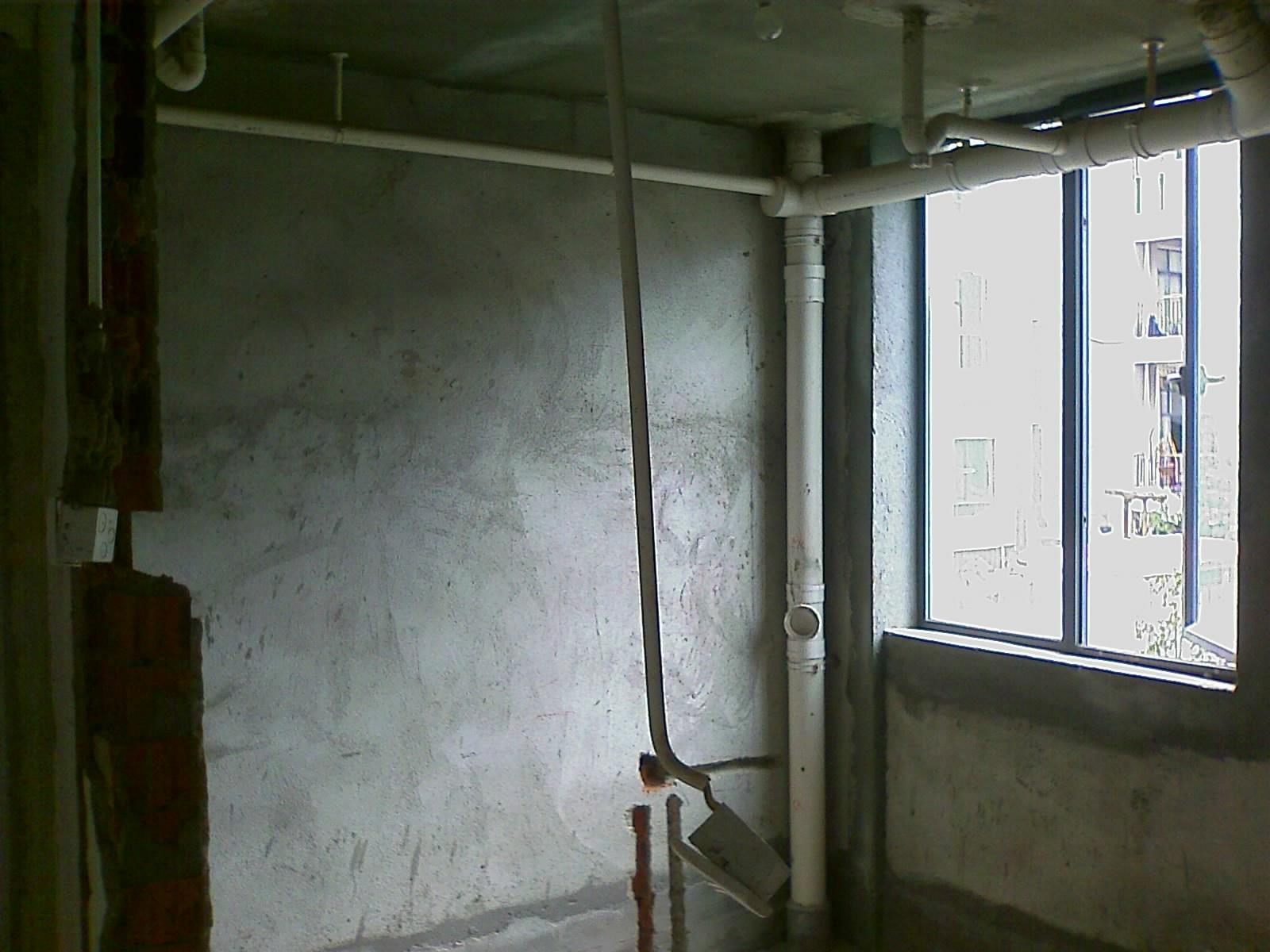 201007241010_041.jpg