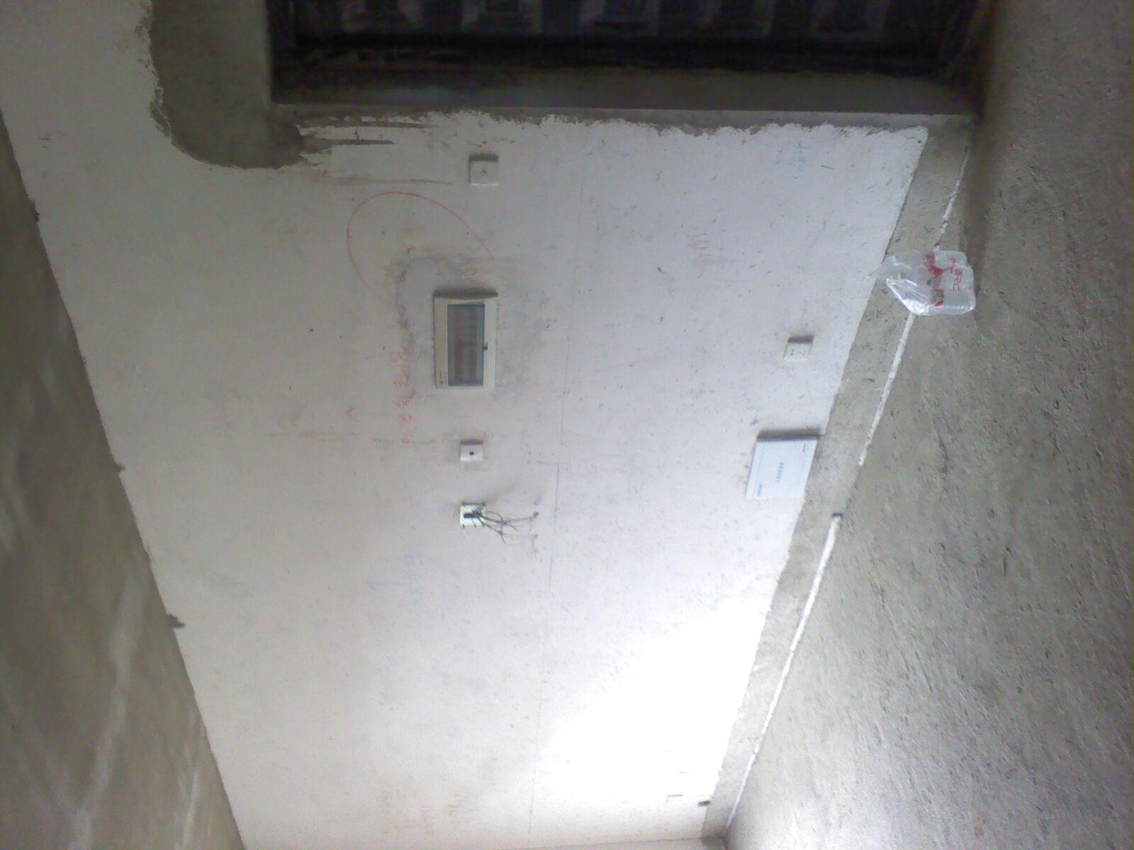 Ƭ0263.jpg